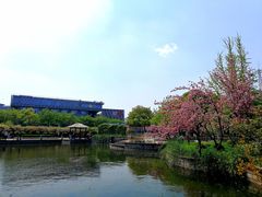 -嘉定紫藤园