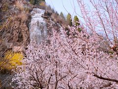 -黄花溪