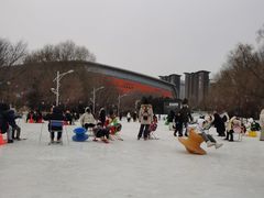 -沈阳奥体冰雪嘉年华