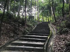 -火炉山森林公园