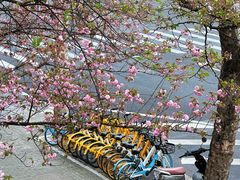 -南浦大桥长途旅游客运站