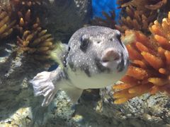 -福州罗源湾海洋世界旅游区