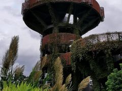 -芒洲湿地公园
