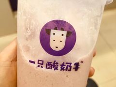 -一只酸奶牛(八一路店)