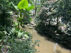 -成都市活水公园