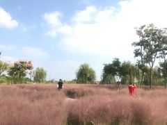 -南湖湿地公园