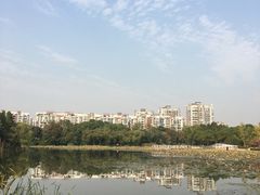 -新江湾城公园