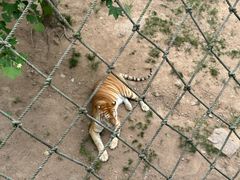 -西霞口神雕山野生动物世界