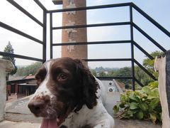 -小意思咖啡店(草桥店)