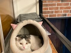 -萌兽医馆·犬猫专科·眼科中心·宠物医院(朝阳门分院)