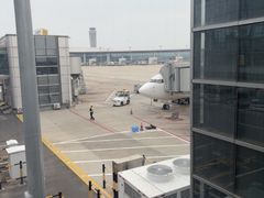 -青岛胶东国际机场