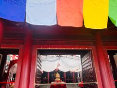 -新加坡佛牙寺龙华院