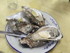 冰镇生蚝-蚝家菜馆(沙井店)