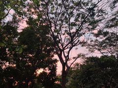 -水濂山森林公园