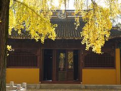 -苏州上方山国家森林公园