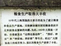 -东平国家森林公园