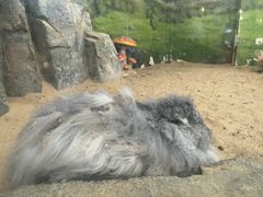 -正佳雨林生态植物园