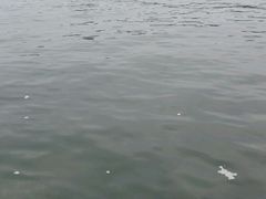 android_upload_pic-青岛第二海水浴场