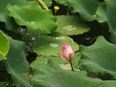 -宁波九龙湖开元度假村