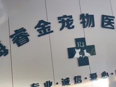 -睿金宠物医院·CT·肿瘤·骨外科