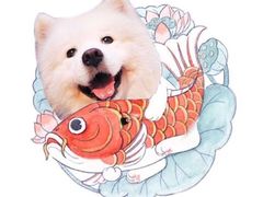 -Luchador摔跤手墨西哥餐厅(恒宇广场店)