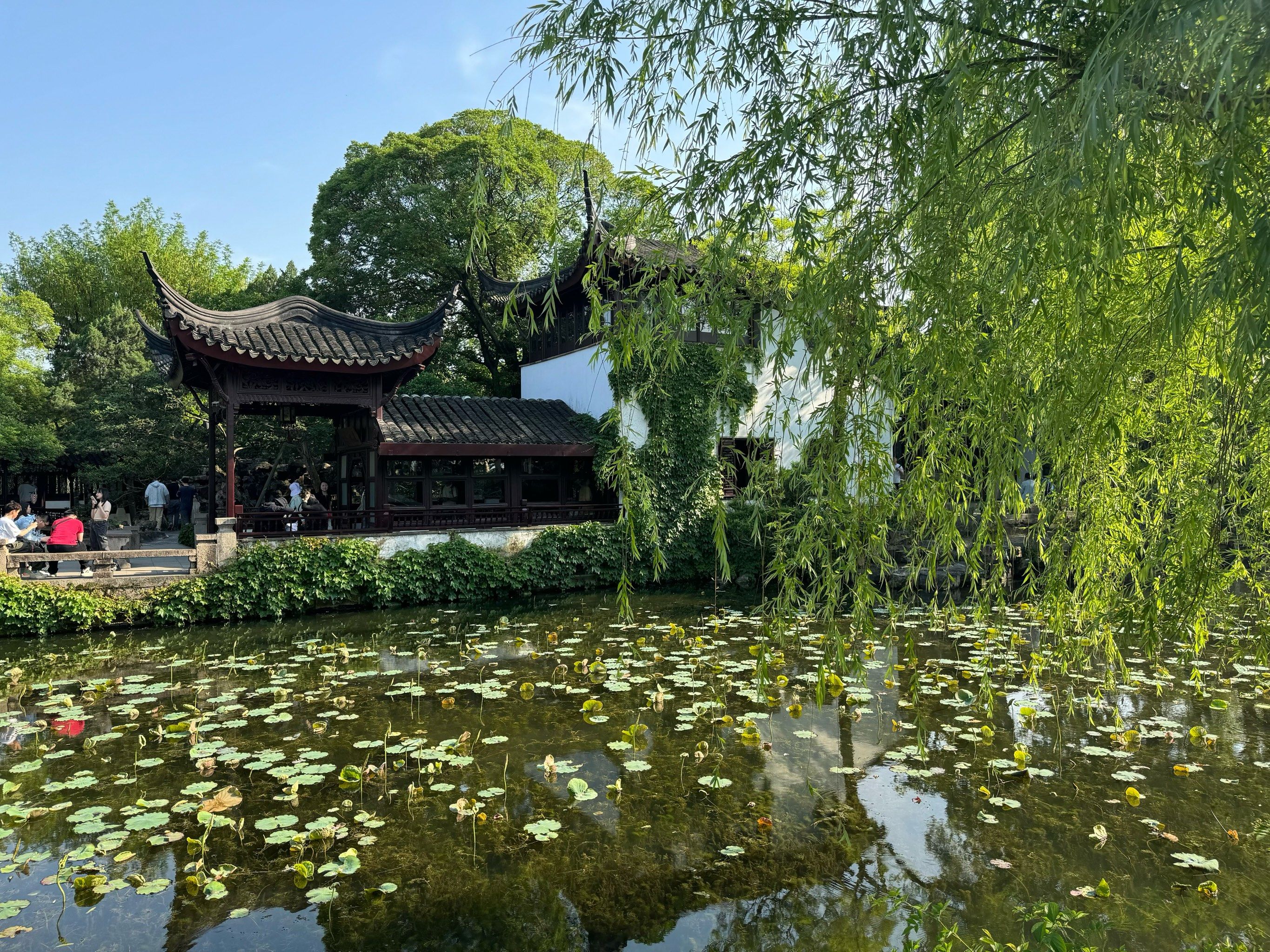 90景点介绍:拙政园不用说了,苏州最有代表性的园林,历史悠久,江南