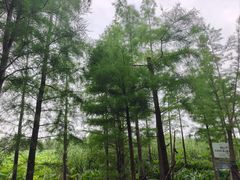 -云龙湖旅游景区