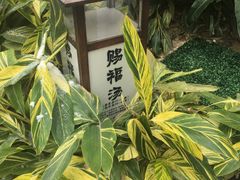 -汇雅温泉