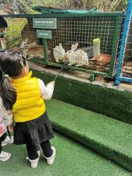 -可可天空农场(中大店)