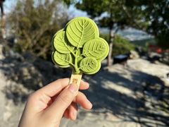 -香山公园