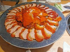 -守柴炉烤鸭(科华中路王府井店)