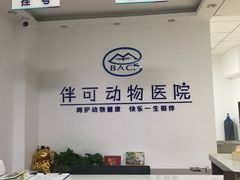-美联众合动物医院·伴可分院·内科中心医院