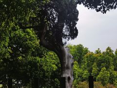 -城隍阁