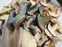 -菌之家·专业纯野生菌火锅·特色炒菌