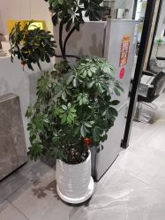 -LJOY丽锦造型·烫发染发