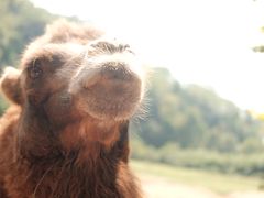 -杭州野生动物世界