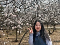 -绿堤公园
