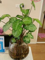 -纤姿俪纳·产后恢复连锁机构(鄞州万达店)