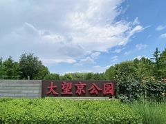 -大望京公园