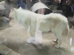 -杭州野生动物世界