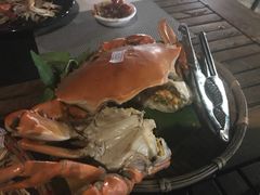 -越海渔村