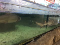 -鸿通城购物中心