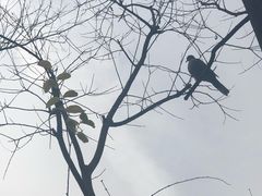 -迎泽公园