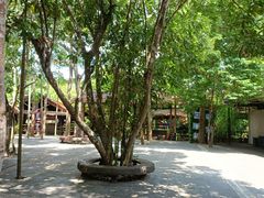 -海南槟榔谷黎苗文化旅游区