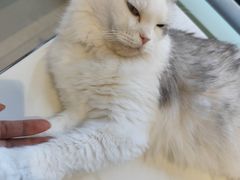 -怪兽屋·羊驼·猫咖·狗咖(俊华广场店)