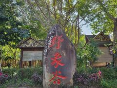 -野象谷景区