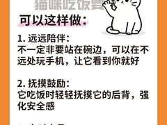 -睿金宠物医院·CT·肿瘤·骨外科