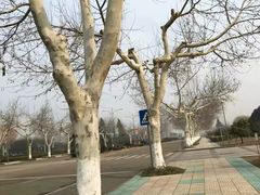 -宿迁学院