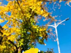 -麗枫酒店(成都理工大学地铁站店)