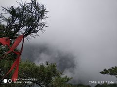 -陕西省红河谷森林公园